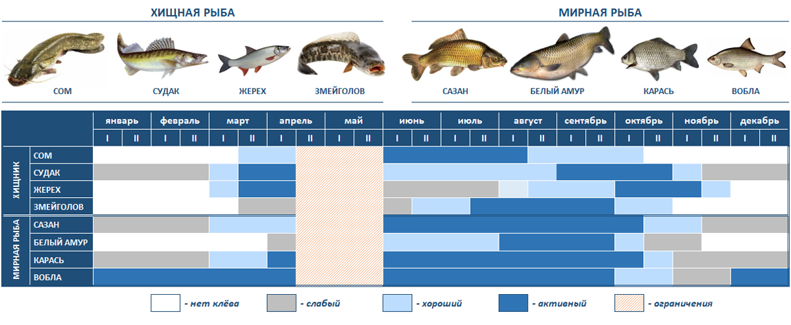 Календарь рыболова